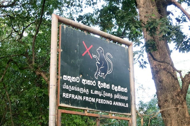 Refrain From Feeding Animal Sign at Polonnaruwa, Sri Lanka