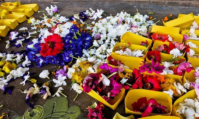 Flower Offerings at Polonnaruwa in Sri Lanka