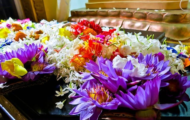 Flower Offerings at the Temple of the Tooth in Sri Lanka - Exploring Polonnaruwa in Sri Lanka