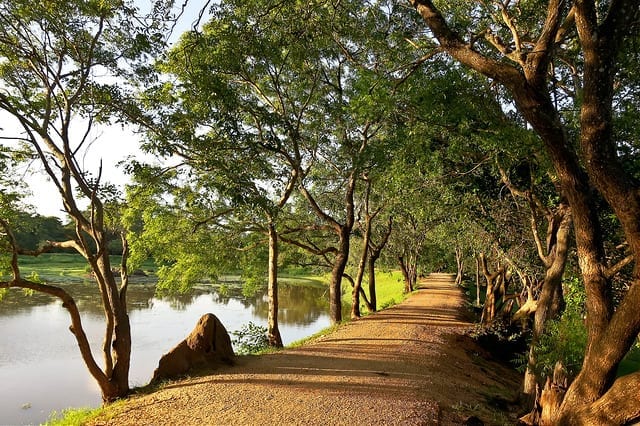 Path Along the Water at Polonnaruwa, Sri Lanka
