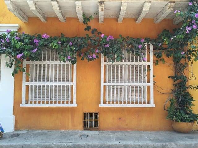 A Street in Cartagena with Bougainvillea - Things to do in Cartagena