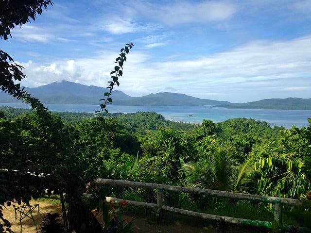 Jungle Views - Palawan Travel Guide