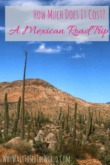 A Mexican Road Trip