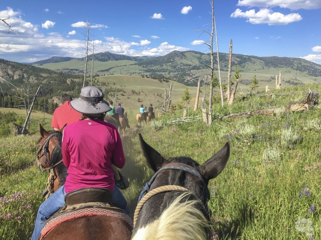 Horseback Riding in Yellowstone National Park - A 7 Week RV Trip in the American West