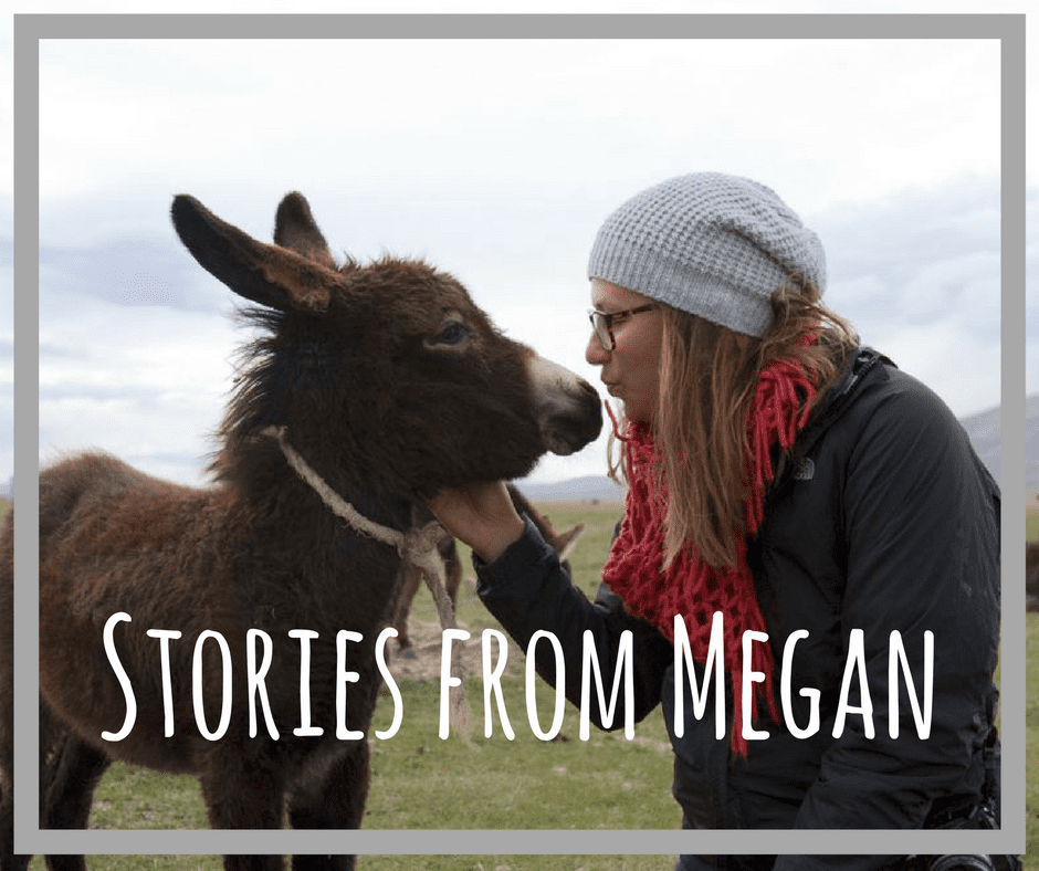 Stories from Steph (1)